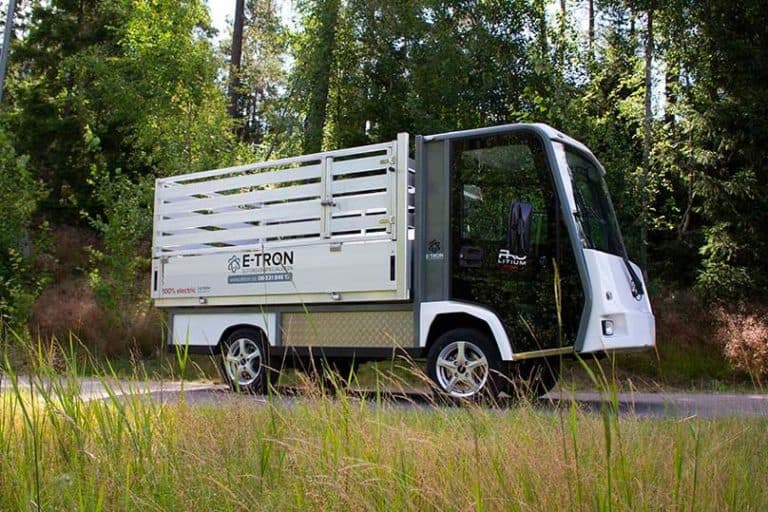Eldrivna transportbilar: Framtidssäkrad transport